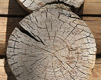 Защита торцов древесины при строительстве