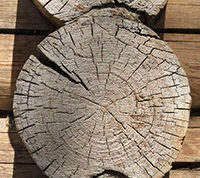 Защита торцов древесины при строительстве