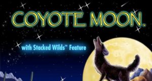Игровой автомат Coyote Moon: особенности игры