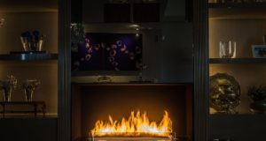 Особенности биокаминов