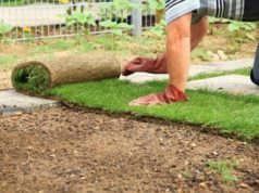 Этапы укладки рулонного газона