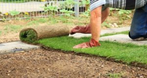 Этапы укладки рулонного газона