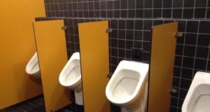 Виды душевых перегородок