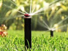 Системы полива для дачи: как выбрать?
