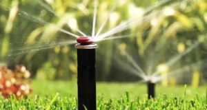 Системы полива для дачи: как выбрать?