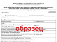 Что представляет собой выписка из реестра недвижимости?