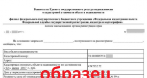 Что представляет собой выписка из реестра недвижимости?