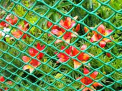 Пластиковая сетка: современный легкий материал для возведения ограждений различной высоты