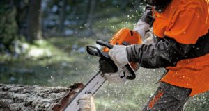 Бензопила: незаменимый инструмент в работе с древесиной