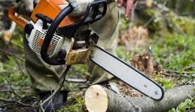 Принцип работы свечи зажигания бензопилы