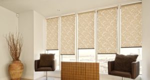 Жалюзи или рулонные шторы: что лучше