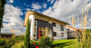 Продажа участков в Ленинградской области: обзор популярных районов