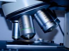 Функции строительных лабораторий