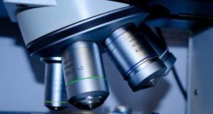 Функции строительных лабораторий