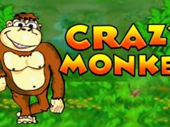 Веселый автомат Crazy Monkey — доступен бесплатно