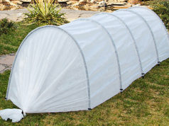 Чем отличается парник от теплицы?