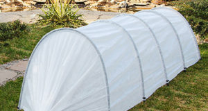 Чем отличается парник от теплицы?