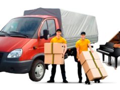 Типы и специализации грузчиков