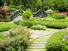 Зачем нужен ландшафтный дизайн?