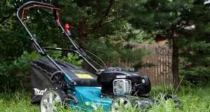 Отличия и сферы применения газонокосилок