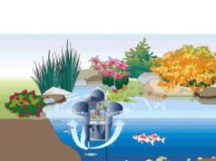 Как правильно подобрать оборудование для пруда?