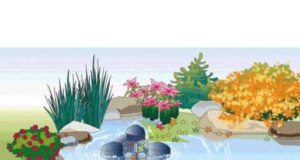 Как правильно подобрать оборудование для пруда?