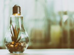 Основные виды геофизических исследований