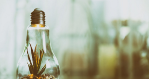 Основные виды геофизических исследований