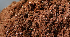 Виды почвогрунта