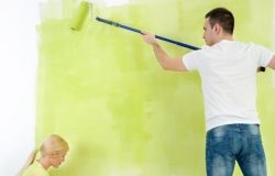 Советы по выбору краски для стен