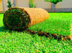 Устройство рулонного газона под ключ