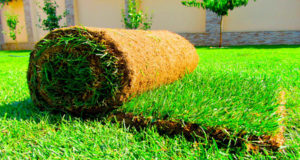 Устройство рулонного газона под ключ