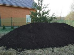 Что такое чернозем и важность его покупки для своего участка