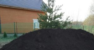 Что такое чернозем и важность его покупки для своего участка