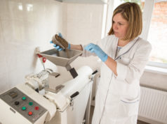 Анализ почвы: методы и этапы