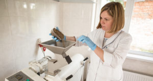 Анализ почвы: методы и этапы