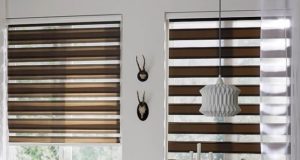 «День-ночь» – основные преимущества данных штор