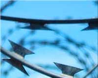 Колючая проволока — сплетенная, вырезанная, оцинкованная