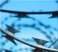 Колючая проволока — сплетенная, вырезанная, оцинкованная