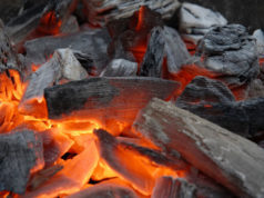 Зольность угля: методы определения