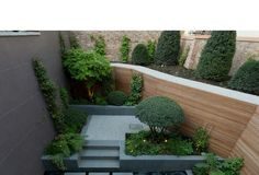 Контейнерное озеленение – новое слово в ландшафтном дизайне