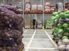 Типы овощехранилищ