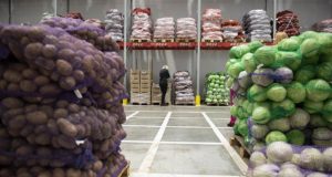 Типы овощехранилищ