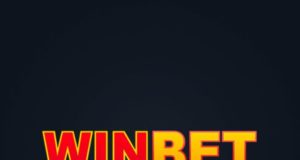 Возможности в игровом казино ВинБет