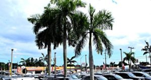 Американские сайты по продаже авто в США