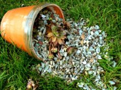 Для чего нужна каменная крошка