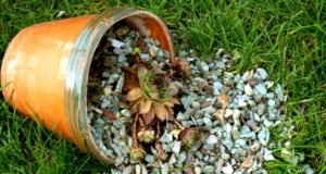 Для чего нужна каменная крошка