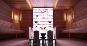 Профессиональное строительство бань и саун