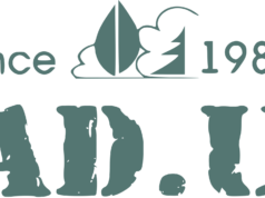 Садовый центр SAD.UA: декоративные растения на любой вкус