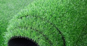 Рулонный газон: правила ухода